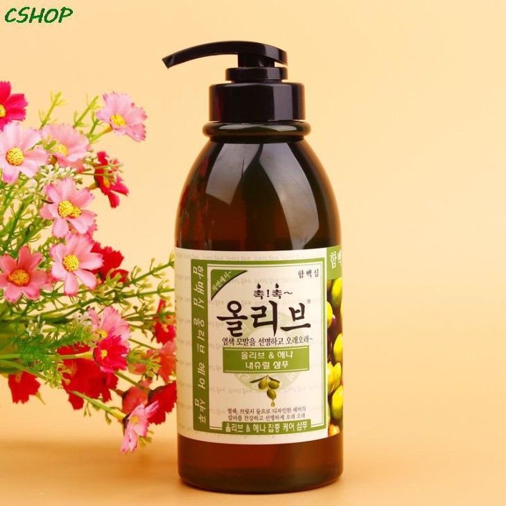 ginger-Korea-containing-fragrant-olive-oil-font-b-shampoo-b-font-to-repair-font-b-hair