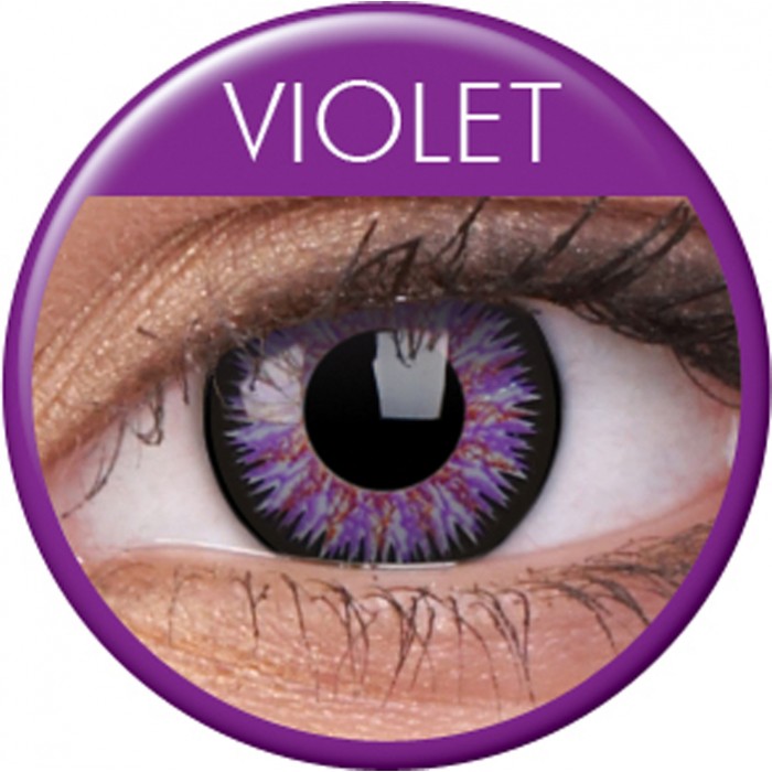 lentilles-violet